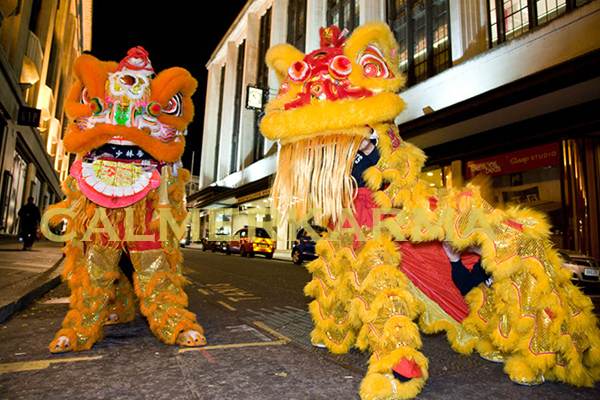 CHINESE THEMED ENTERTAINMENT - CHINESE LION DANCE ACTS 