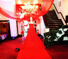 HOLLYWOOD & FILM PREMIERE THEMED ENTERTAINMENT - LIVING RED CARPET - GREET YOUR GUESTS LIKE VIPS - HIRE LIVING RED CARPET  ACT