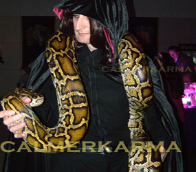 SNAKE WALKABOUT ACTS TO HIRE HALLOWEEN ARABIAN THEMED