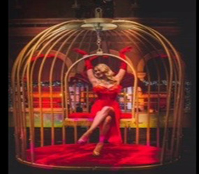 Valentines BirdCage Burlesque Cabaret staged act hire uk