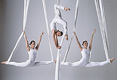 aerial silks photo by Ray Massey