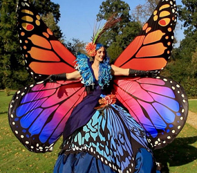 Environment THEMED ENTERTAINMENT - BUTTERFLY FLUTTERERS ACT - HOVERING BUTTERFLIES TO HIRE 