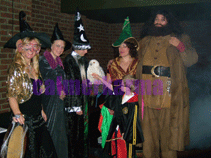 Harry Potter themed entertainment :wizards, owl and HAGRID lookalike