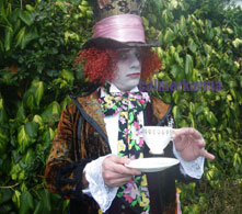 The Mad Hatter: Alice in Wonderland party entertainment