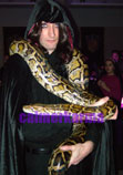Harry Potter themed entertainment Slytherin Snake walkabout
