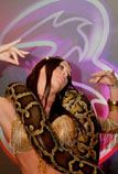 snake dancers london & UK