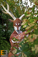 xmas party entertainment hotlist - THE REINDEER MAN