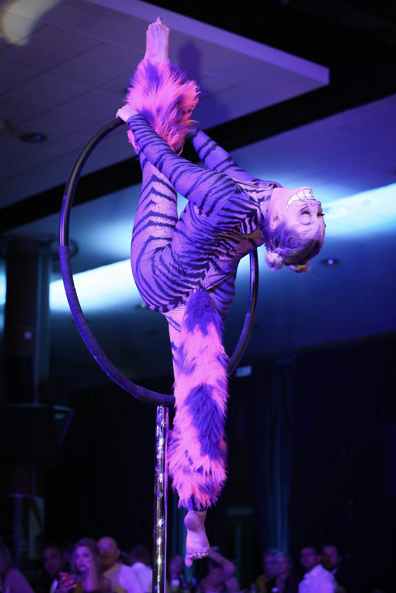 PORTABLE AERIAL HOOP ACT- AERIAL CHESHIRE CAT ACT - ALICE IN WONDERLAND AERIALS AND ACROBATS HIRE