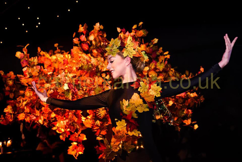 Autumn Themed Entertainment to Hire - LED Autumn Fairys