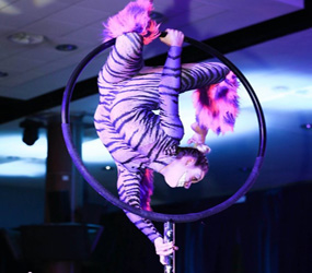 Cheshire Cat Portable Aerialist act -Book Alice in Wonderland Acrobats & Aerial acts 