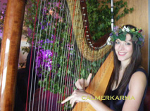 MIDSUMMER NIGHTS DREAM THEME -HARPIST 