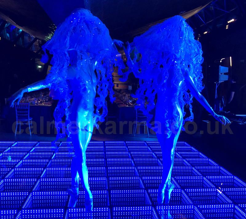 JELLYFISH BALLERINAS- LED BALLERINAS TO HIRE 