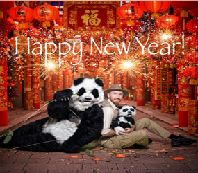 Chinese New Year- panda acts hire