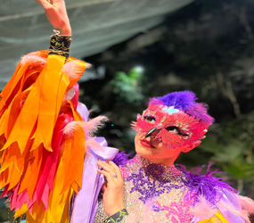 tropical bird ballerinas hire london