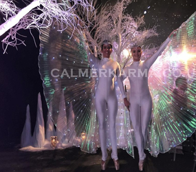 WINTER LED WING BALLERINAS HIRE XMAS PARTY ENTERTAINMENT 