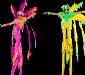 PIRATE THEMED ENTERTAINMENT - PARROT THEMED STILT WALKERS TO HIRE 